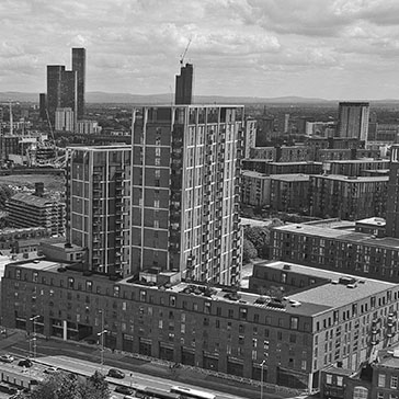 Local Crescent case study featured image